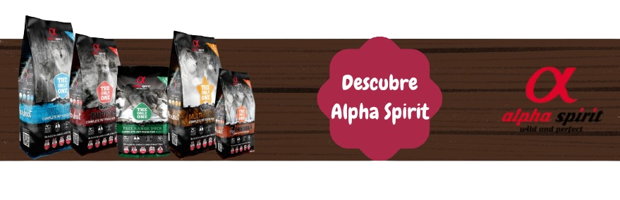 Título de la Sección