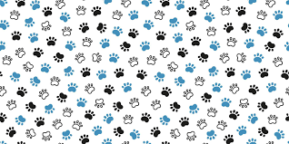 Suscríbete a nuestro Boletin