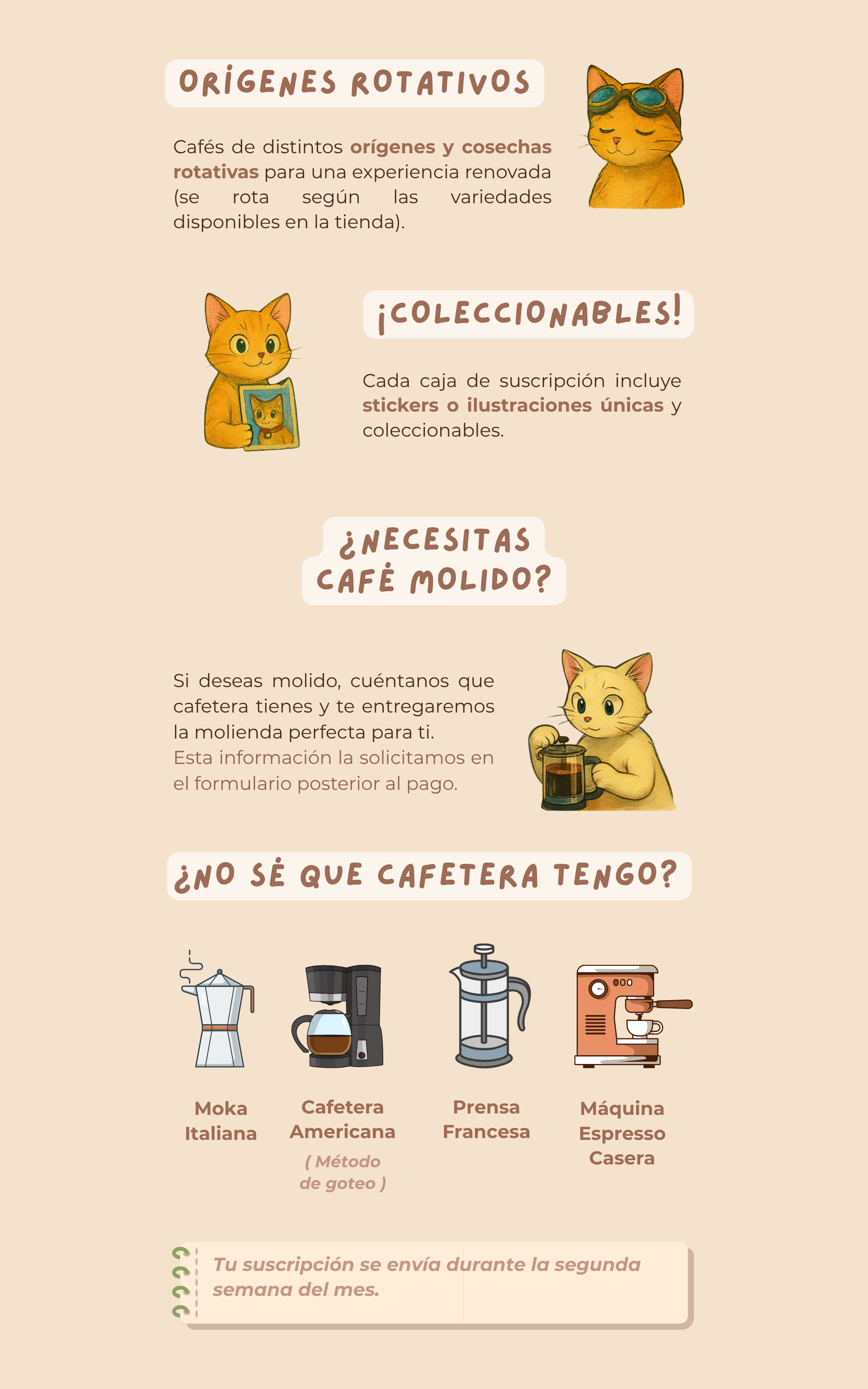 Aura Coffee Roasters