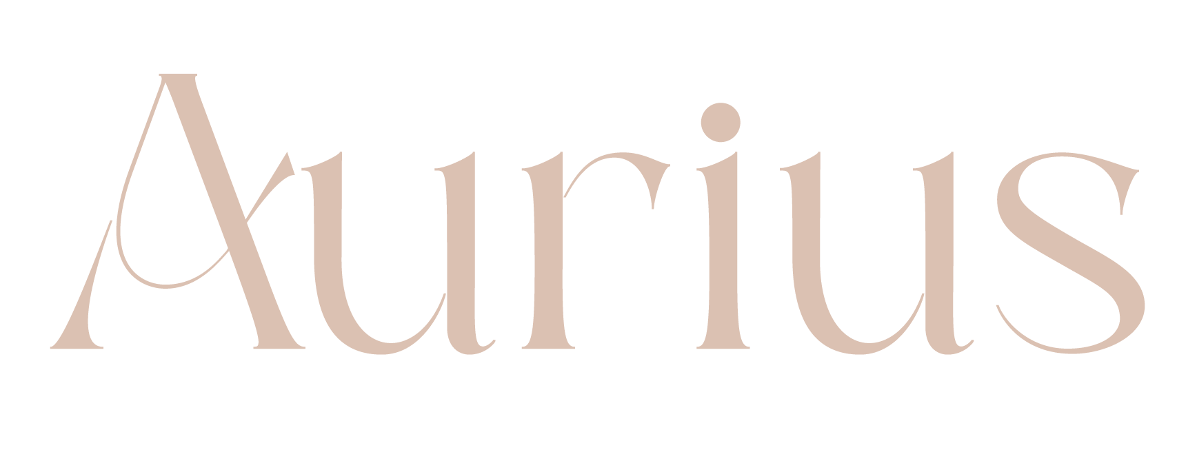 Boutique para Adultos