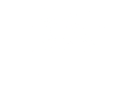 Aurora del Cielo