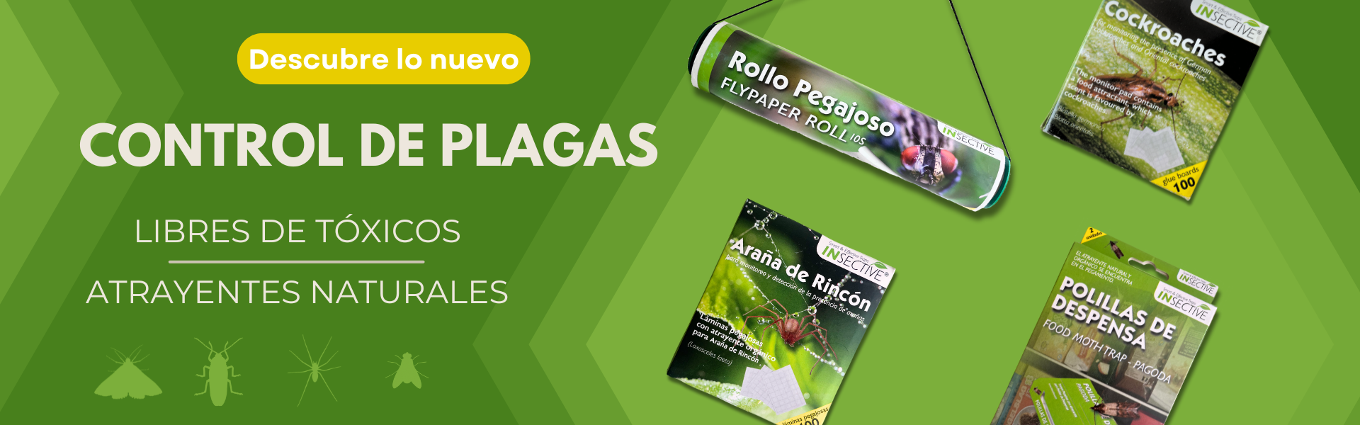 Nuevo diseño