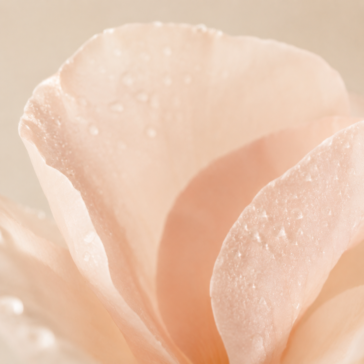 Sensibilidad