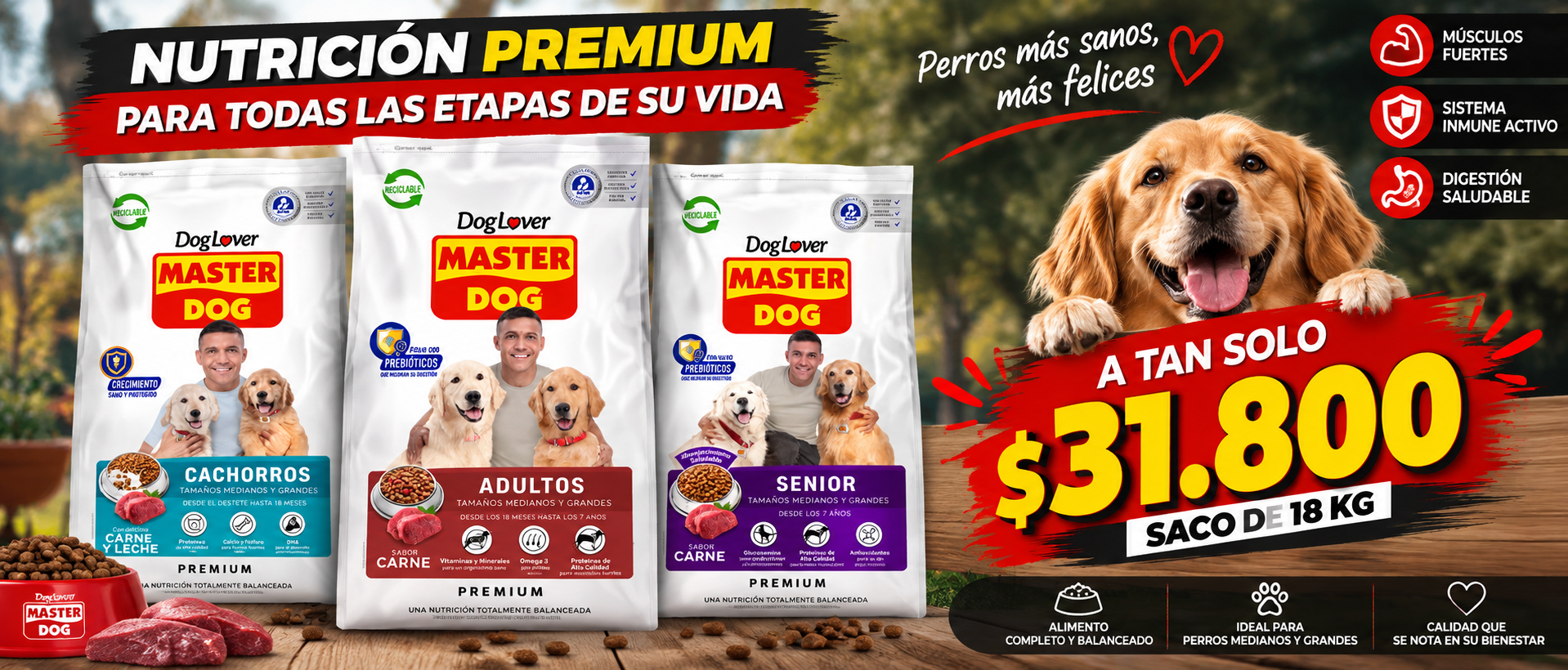 Avock Pet