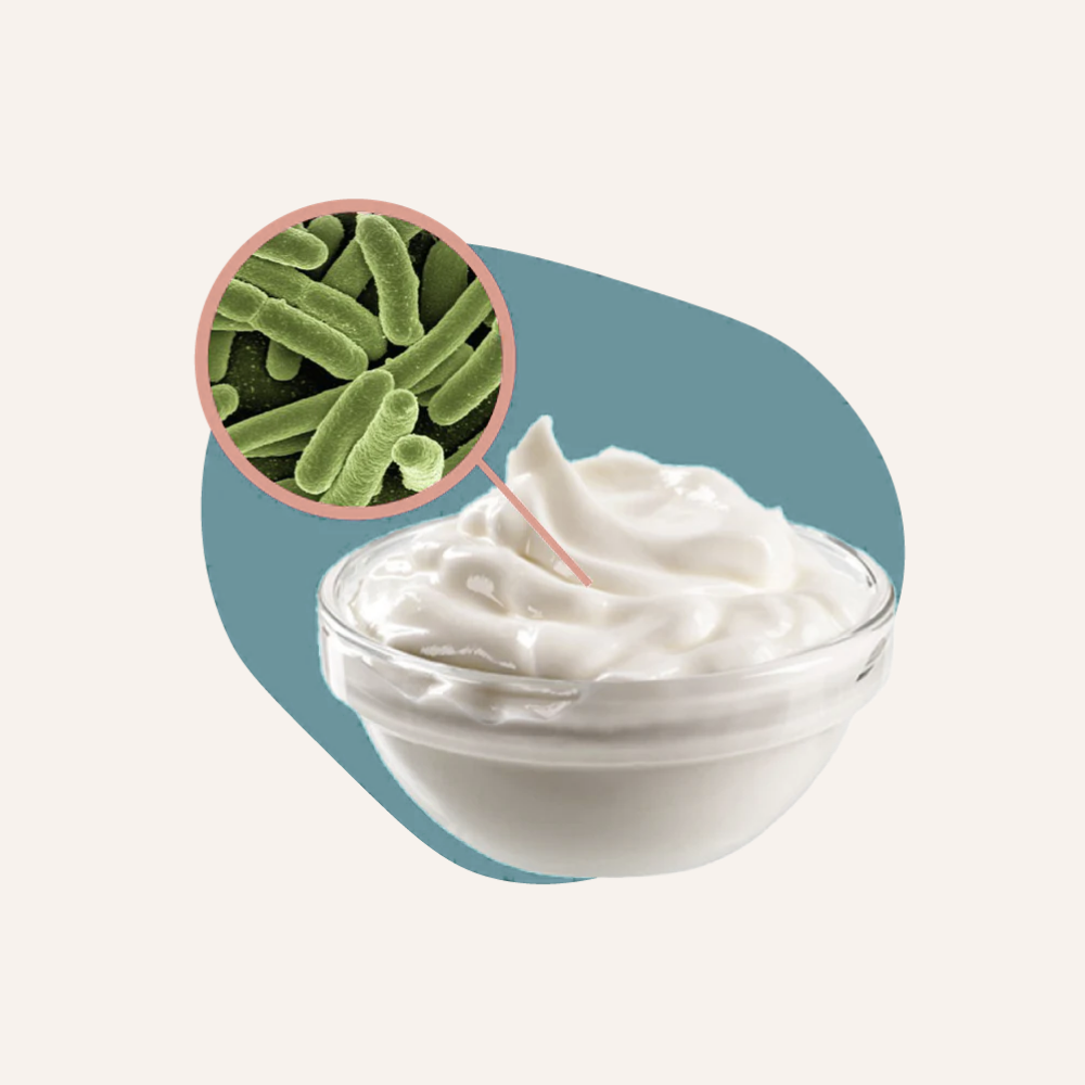 Probióticos de Ácido Láctico