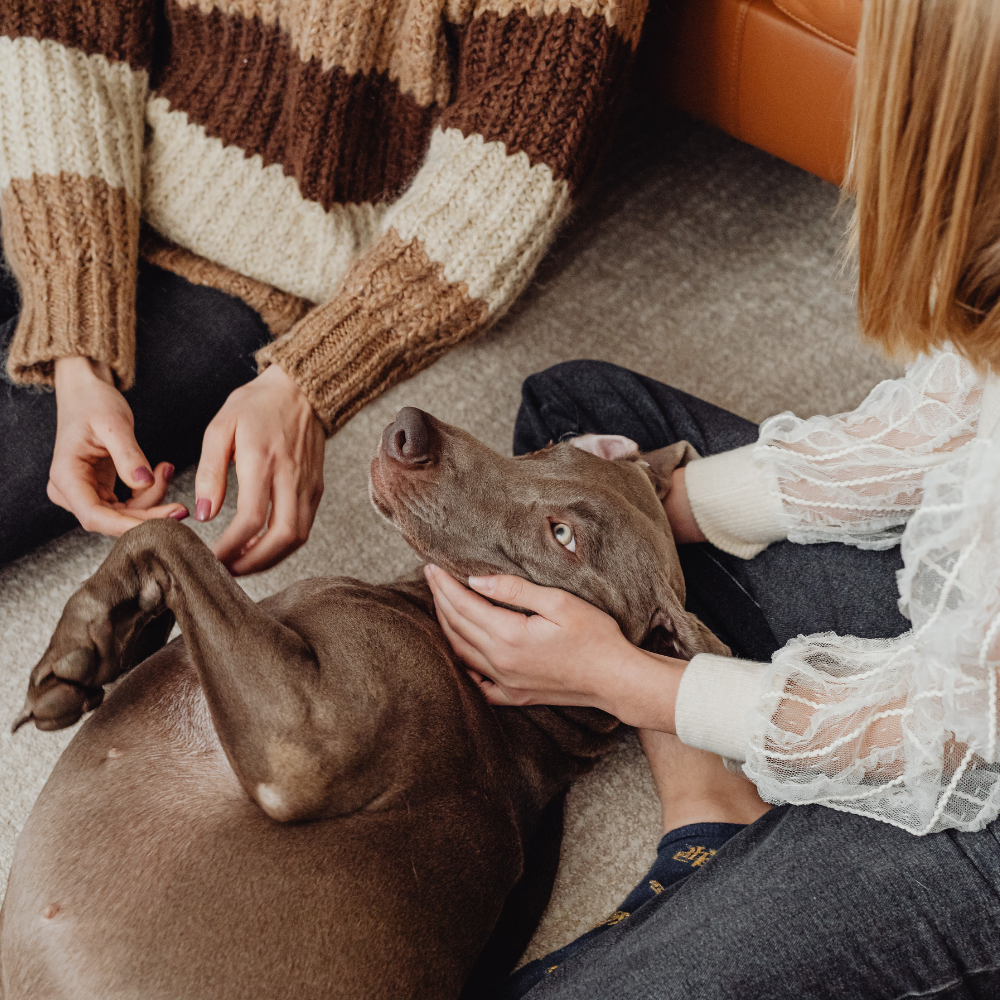 Calidad en la que puedes confiar