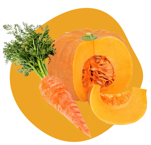 Zanahorias + Calabaza