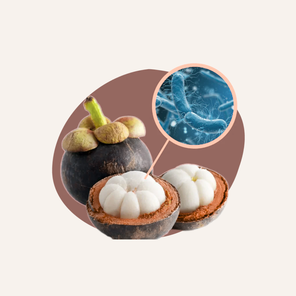 Levadura Probiótica