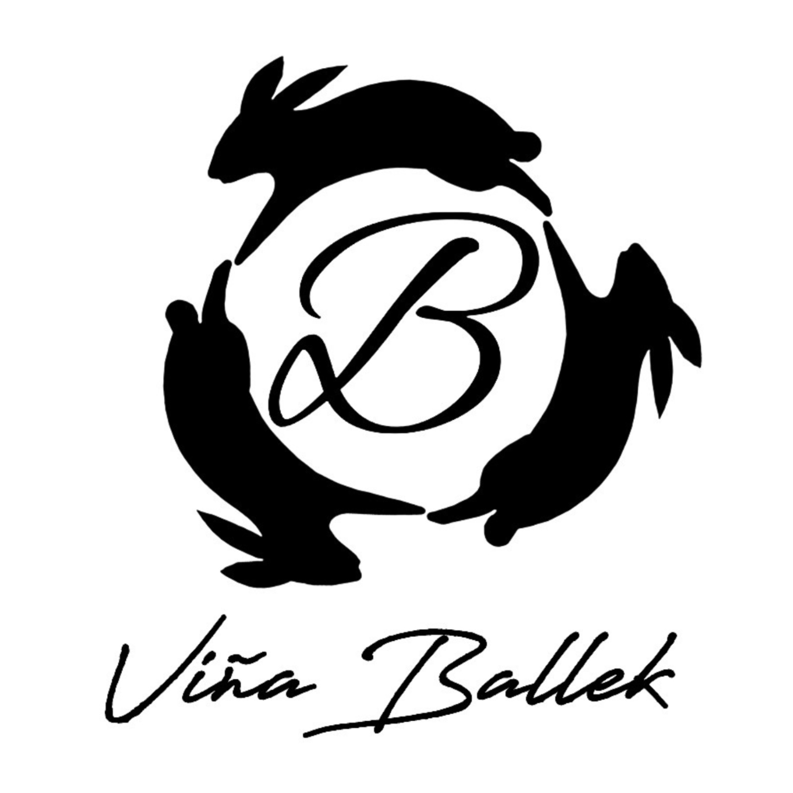 Ballek Tours