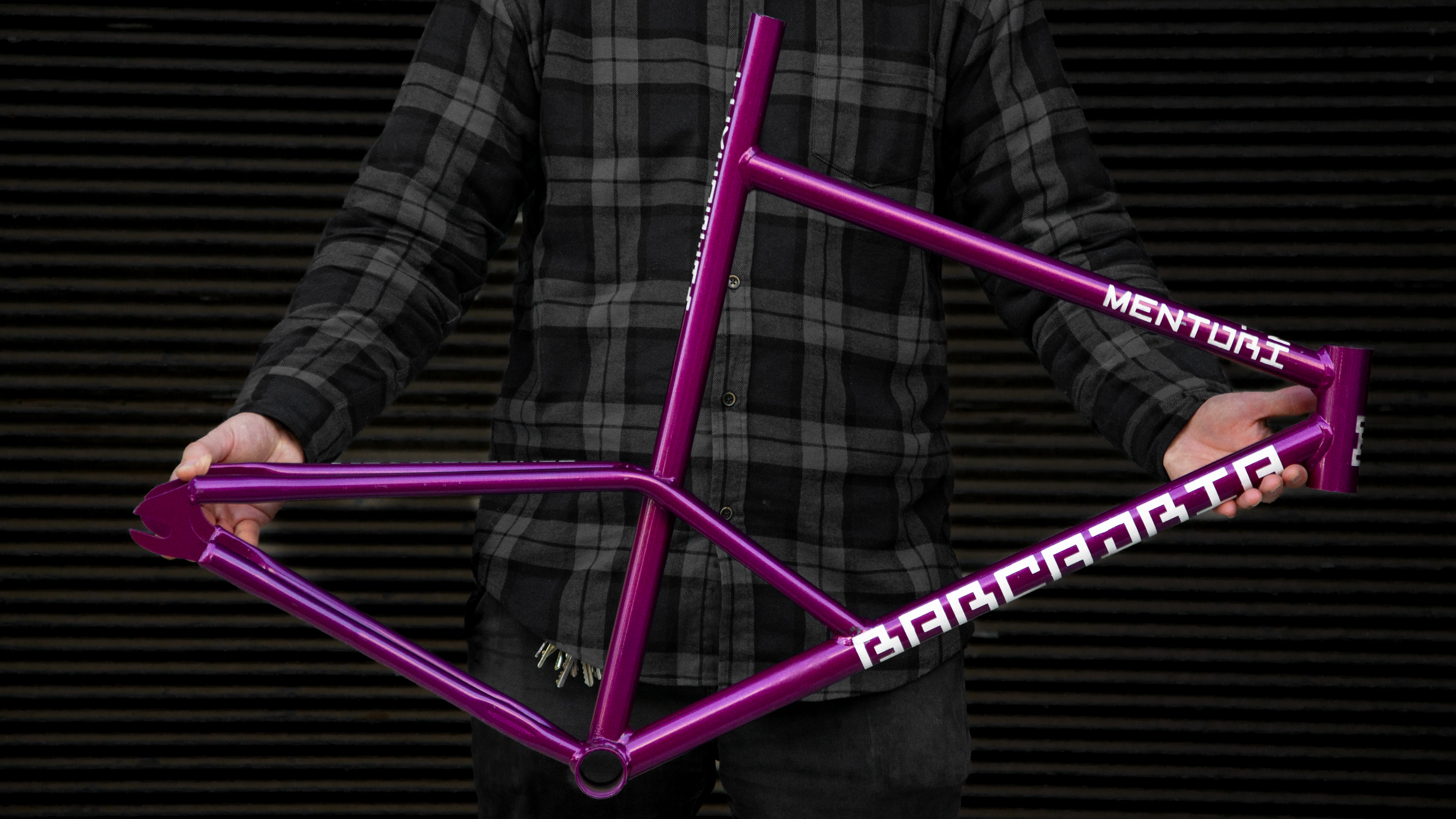 Marco fixie mentori