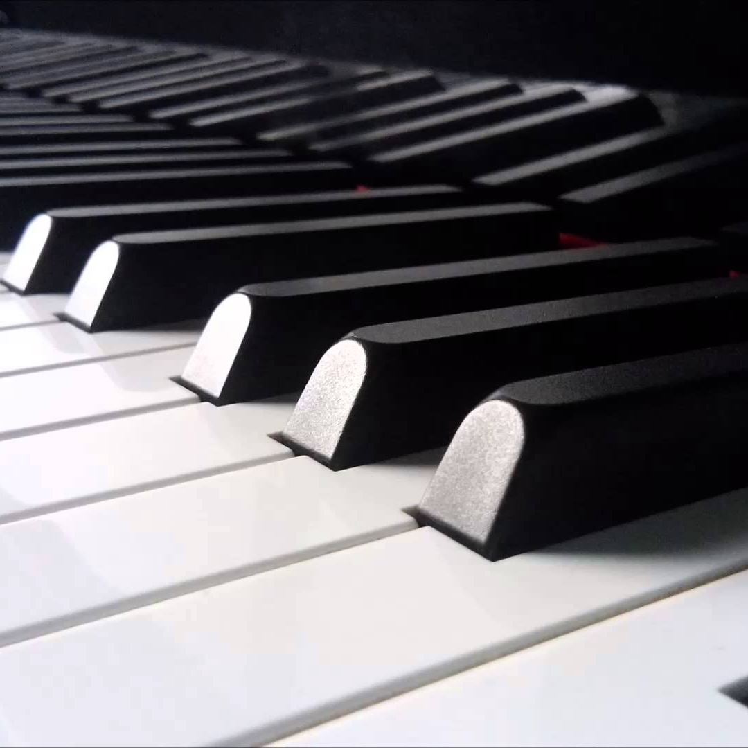 PIANOS Y TECLADOS