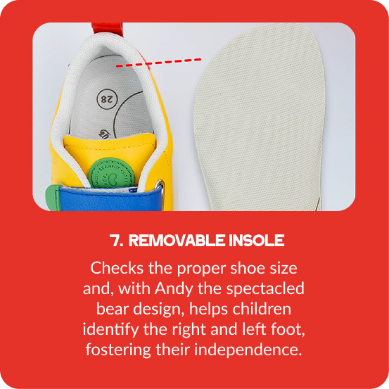 Removable insole