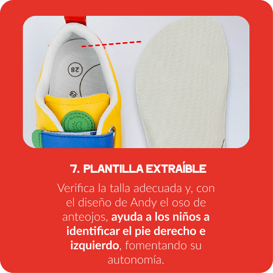 Plantilla extraíble