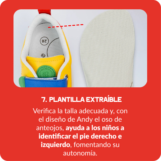 Plantilla extraíble