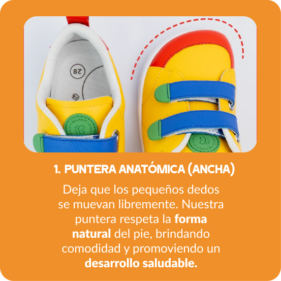 Puntera anatómica (ancha)