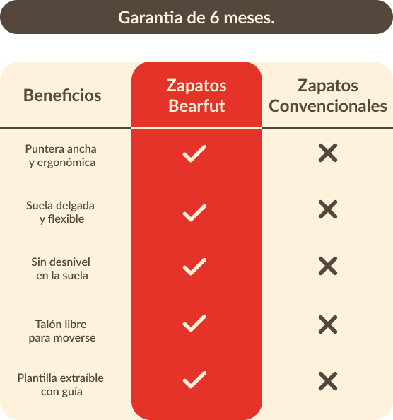 Descripción y detalles