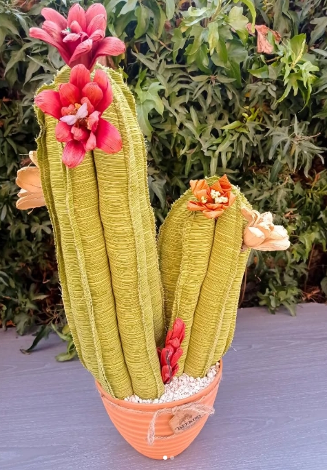 Plantas Eternas<div><br></div>