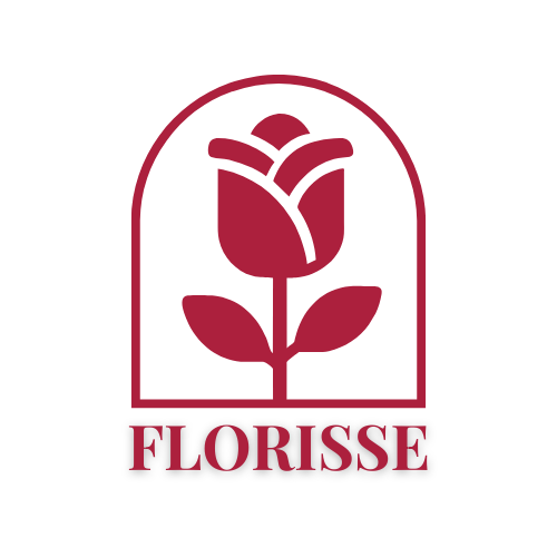 Florisse | Floristeria