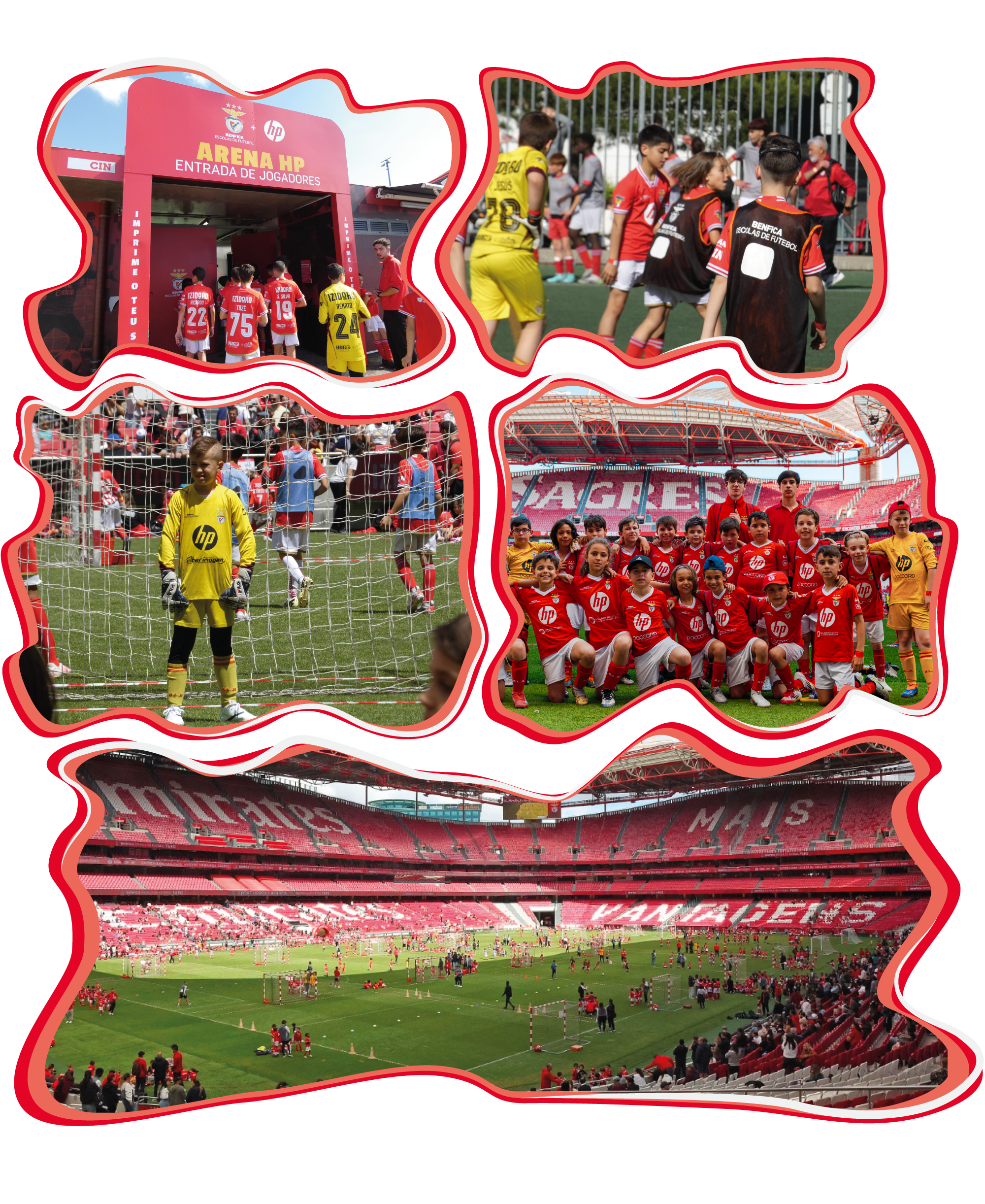 Escola de Futebol Benfica de Vila Nova de Gaia