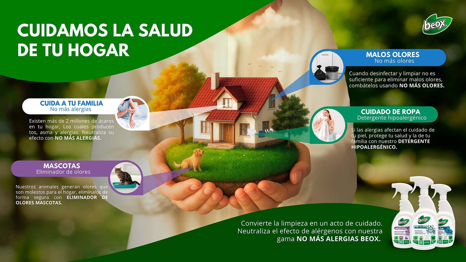 Beox Chile SpA