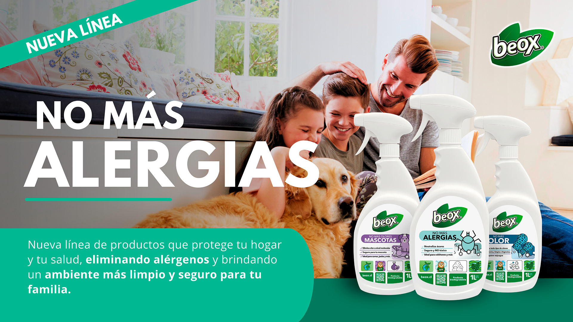 Beox Chile SpA