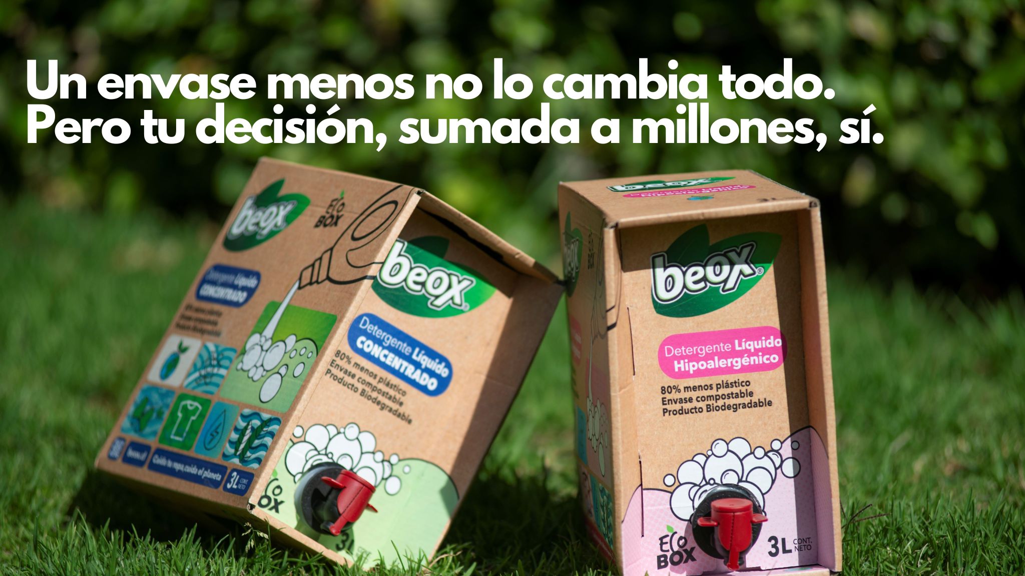 Título de la sección