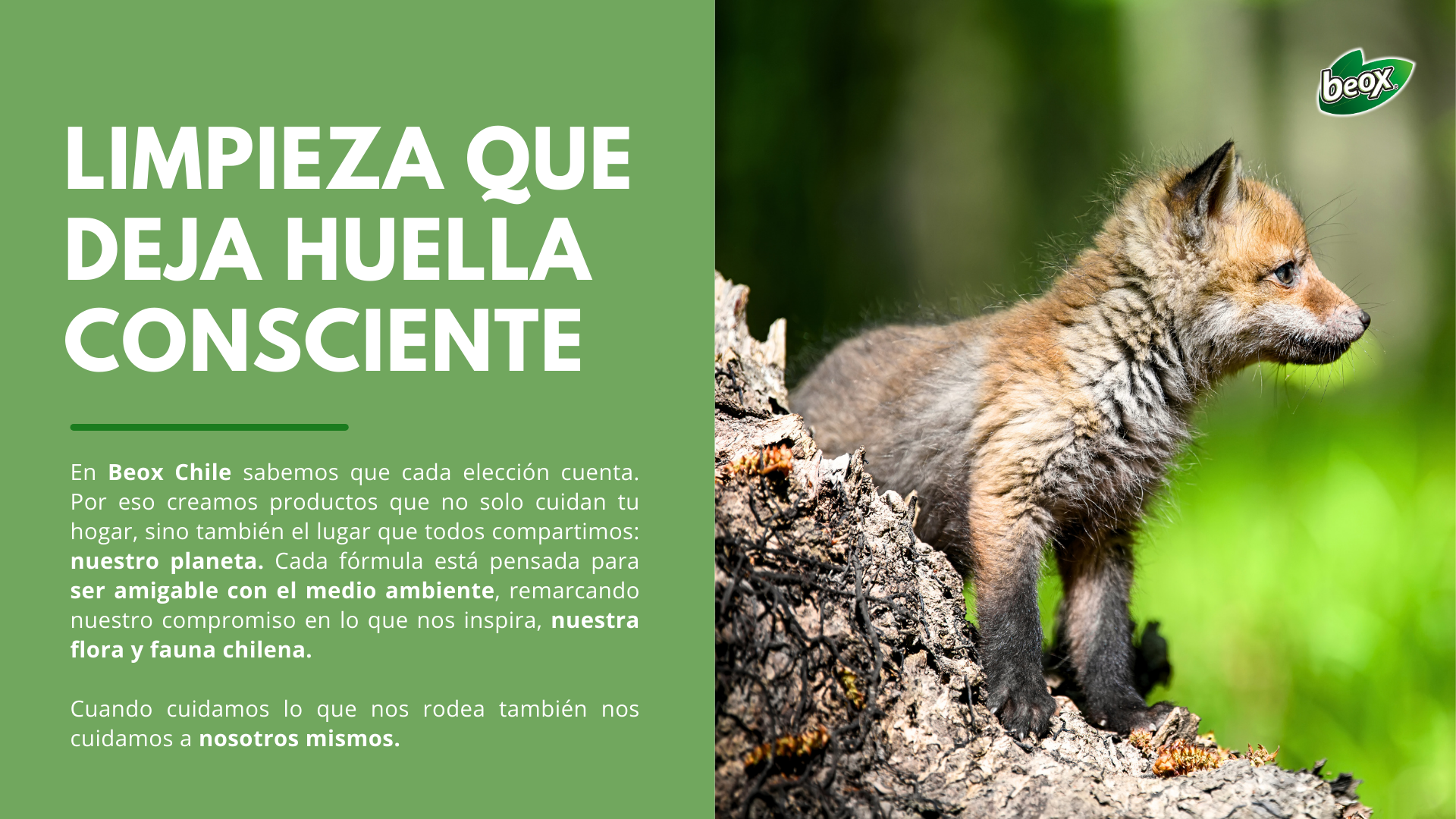 Título de la sección