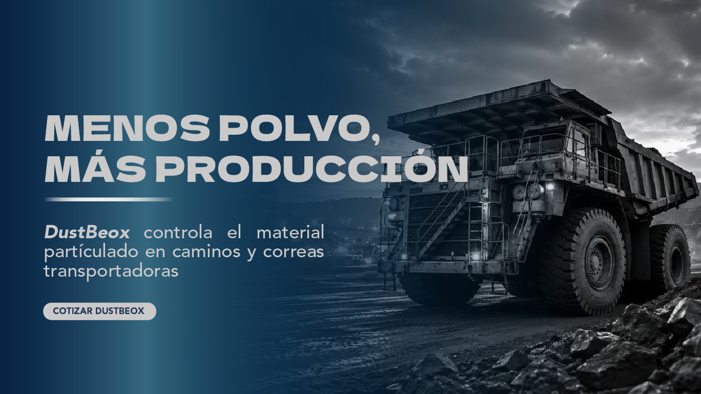 beoxpro.cl