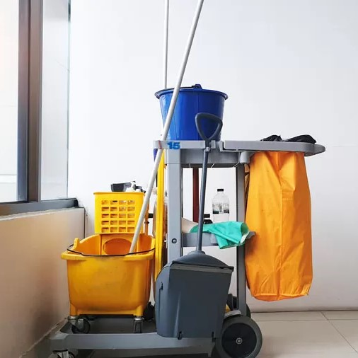 Limpieza Profesional