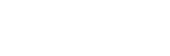 BESEM