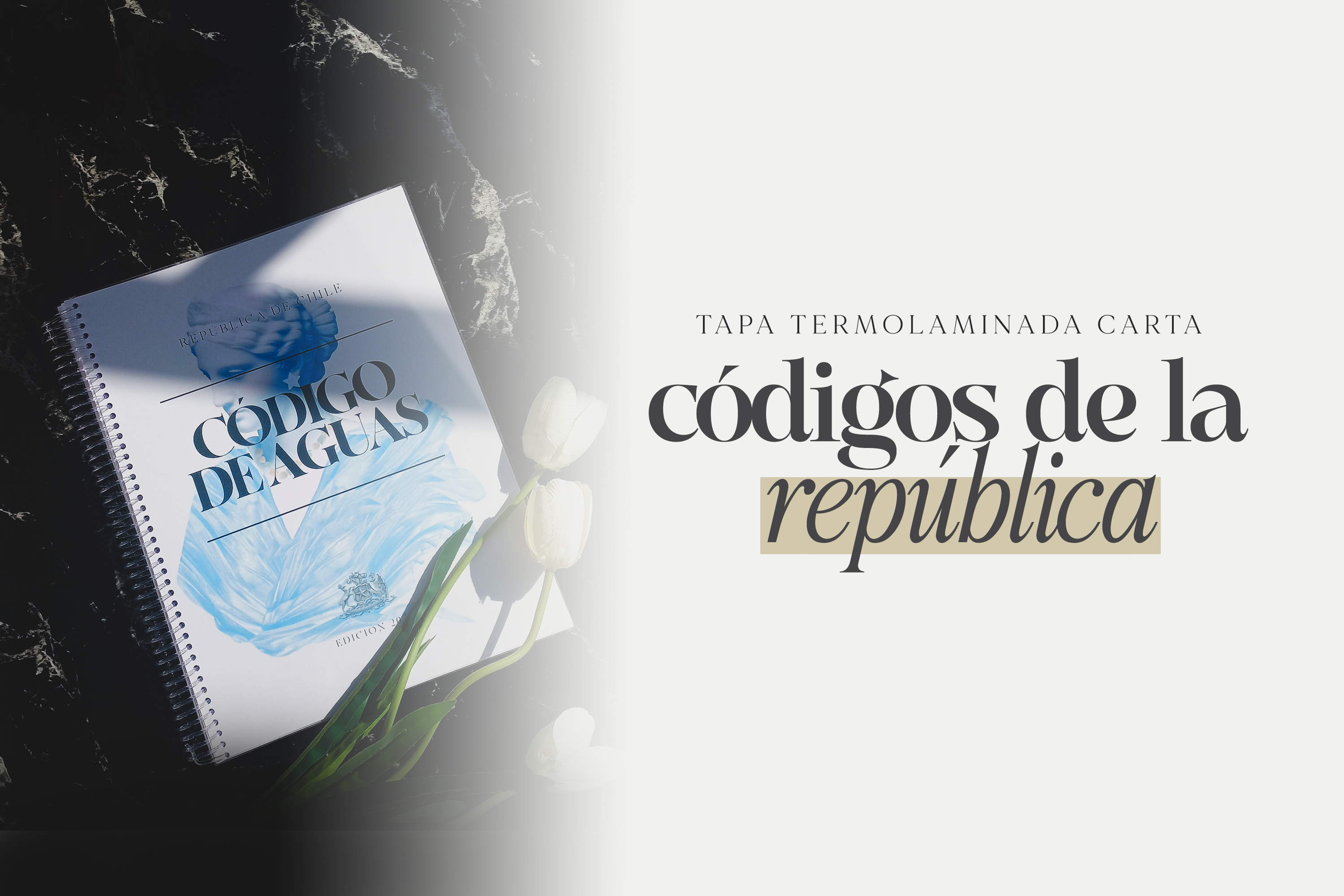 ⚖️ BIALU CÓDIGOS