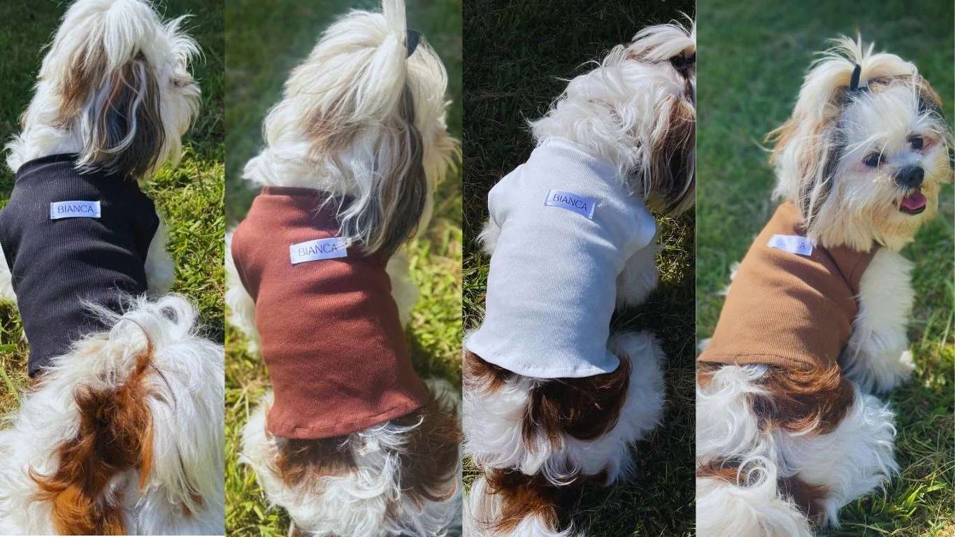 Seu pet também merece viver com estilo.