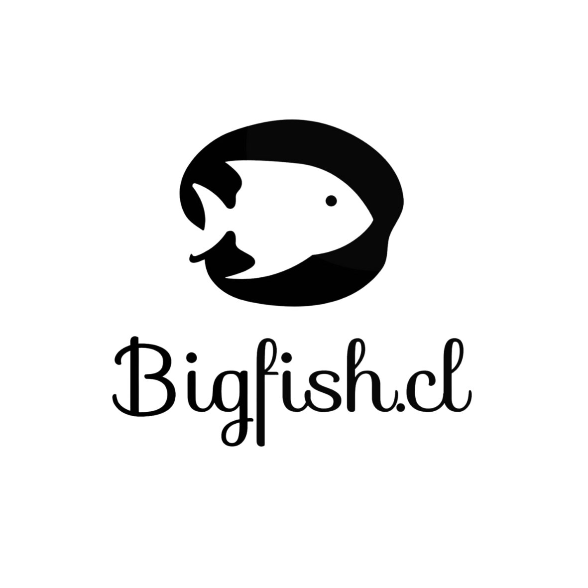 Logo BIGFISH.CL