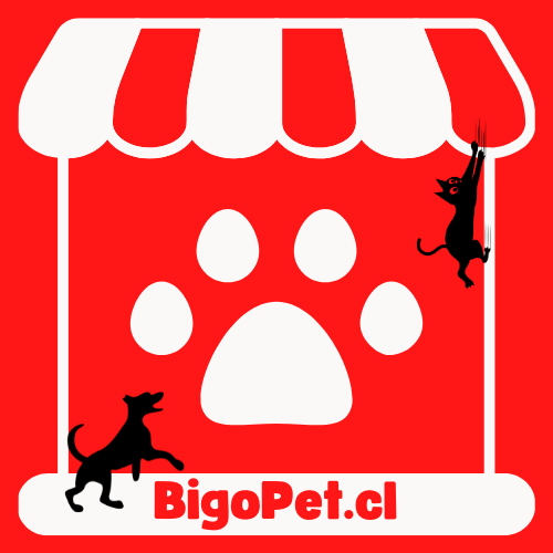 BigoPet