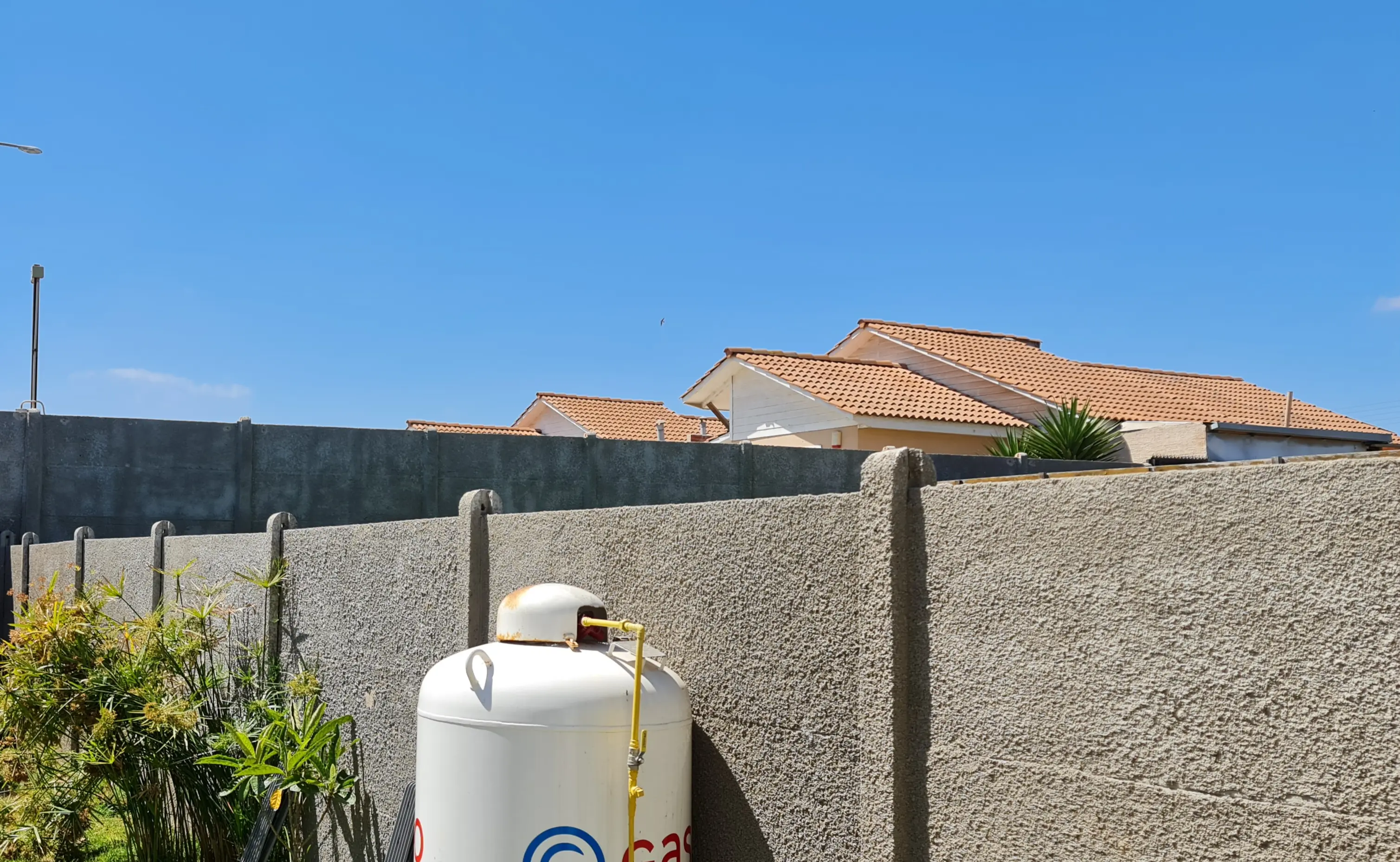 Así cambia tu muro bulldog con Birdwalls