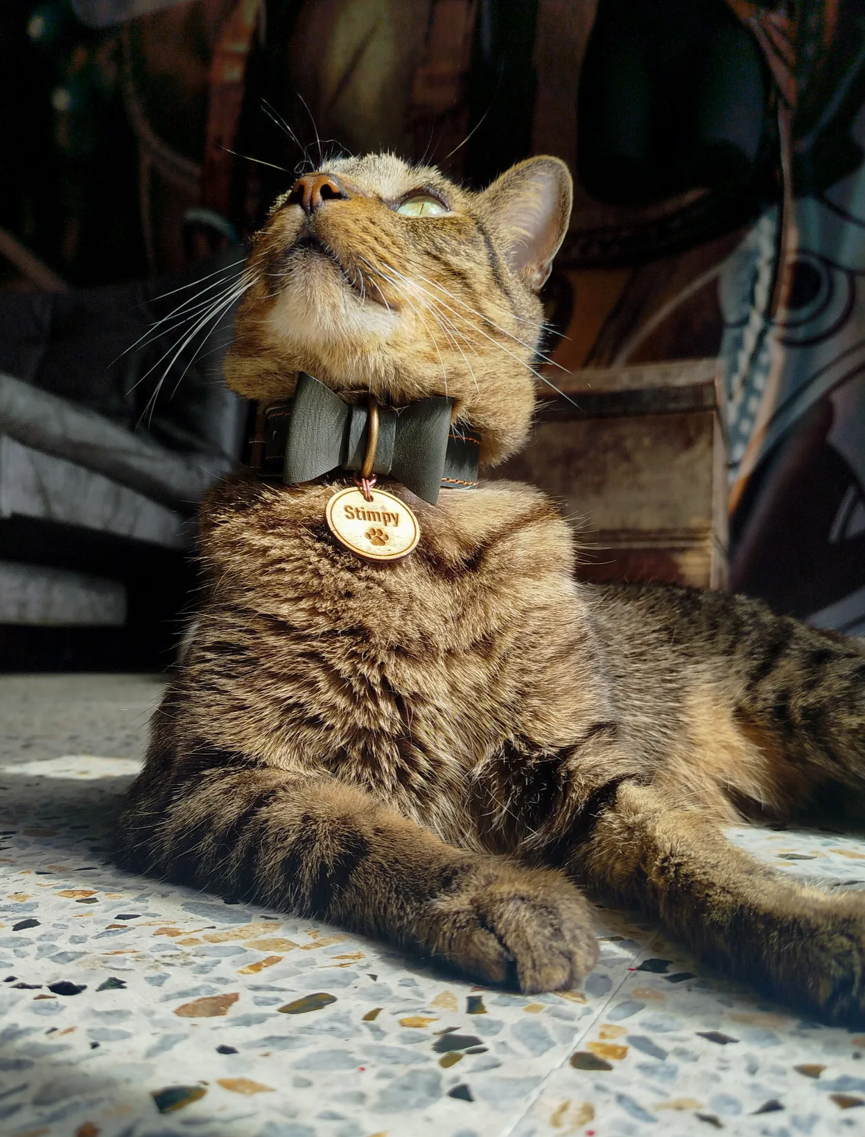 BIRKA PETS
