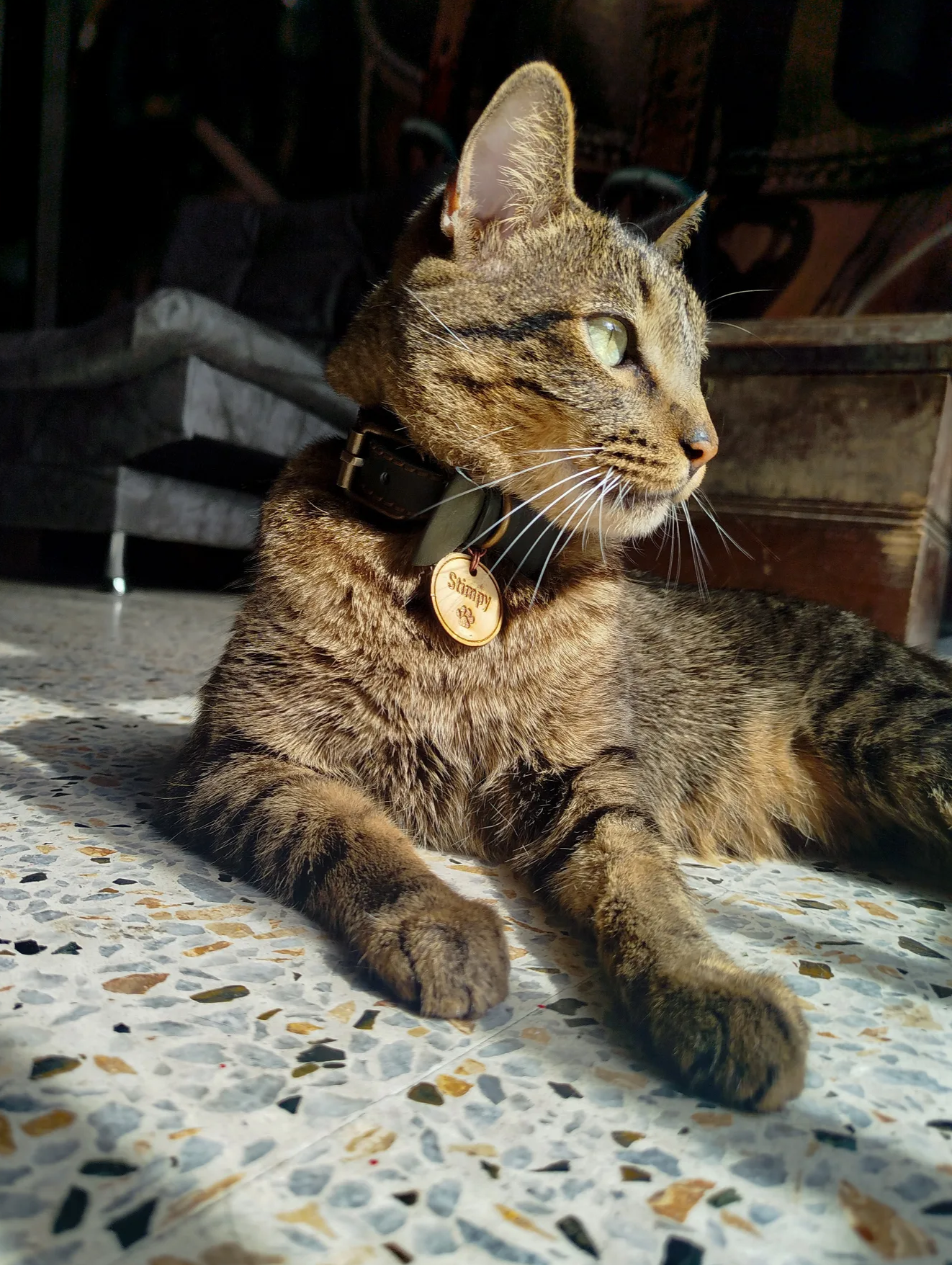 BIRKA PETS