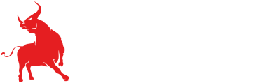 Bolido