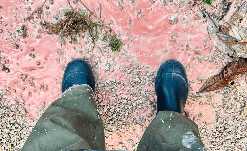 <p style="box-sizing: border-box; margin-bottom: 12px; font-weight: inherit; line-height: 1; color: #282620; font-size: 32px; font-family: Manrope, sans-serif; letter-spacing: normal; background-color: #ffffff;">Feito à mão, sempre em pequenos lotes</p>