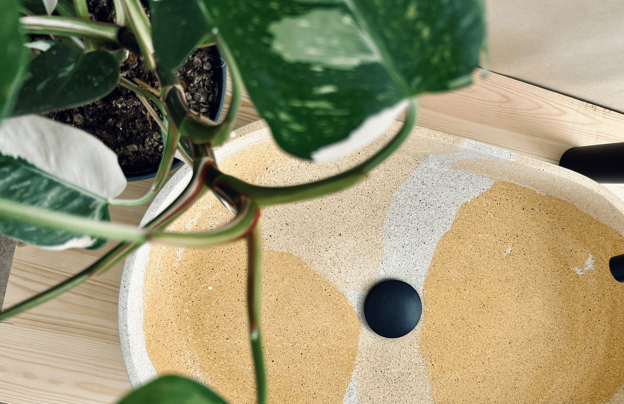 <h1>Uma fusão entre a força e a cor</h1>