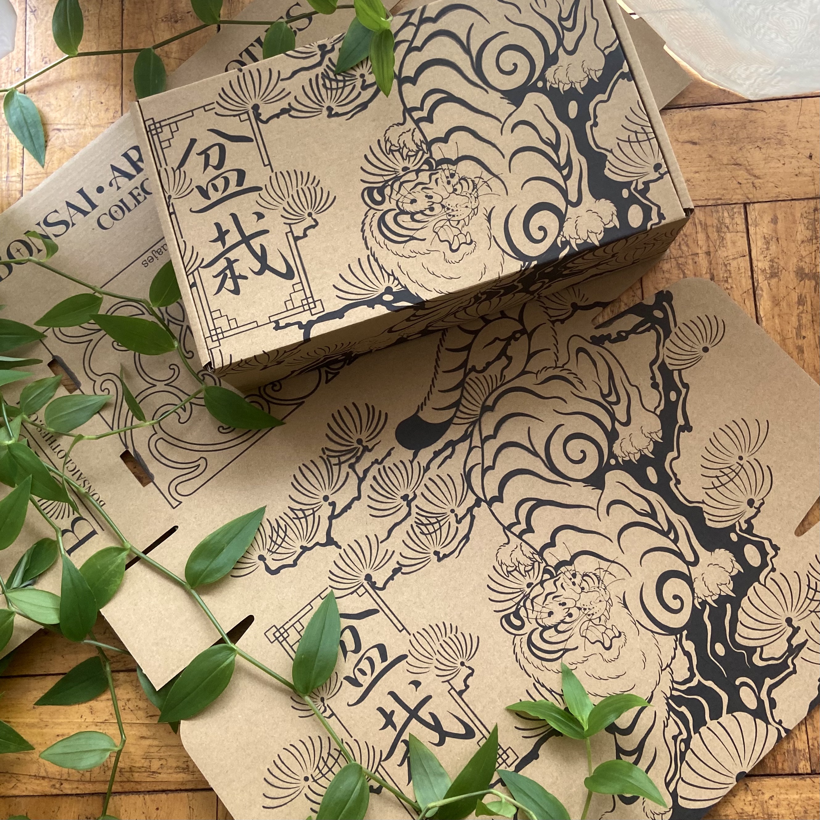 Packaging para Envíos 