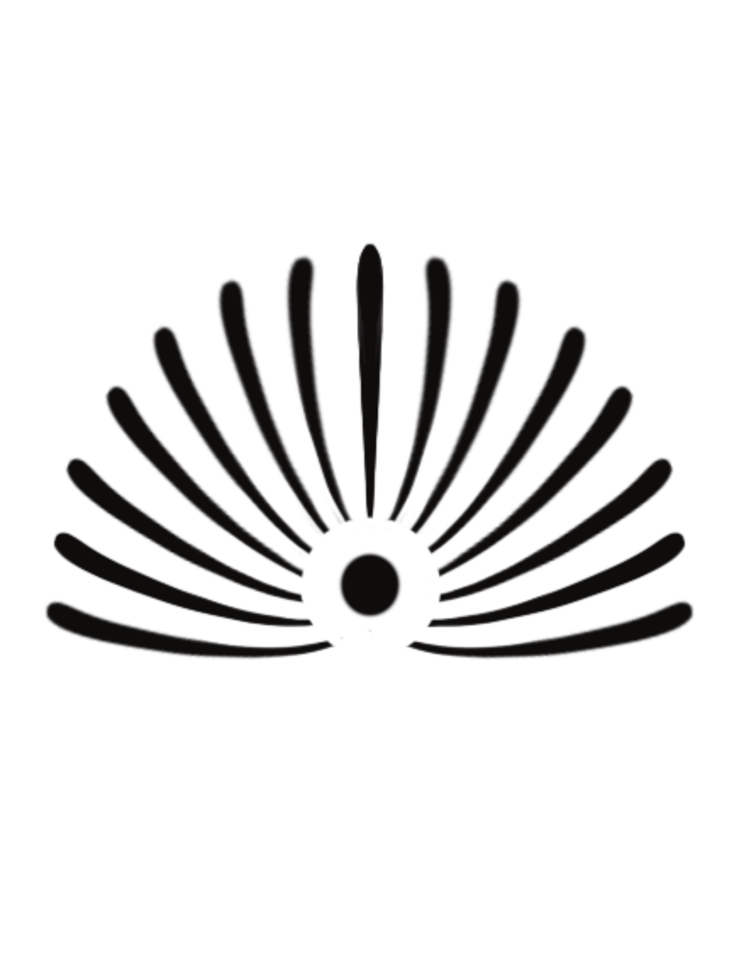 Bonsai Art & Clothes 