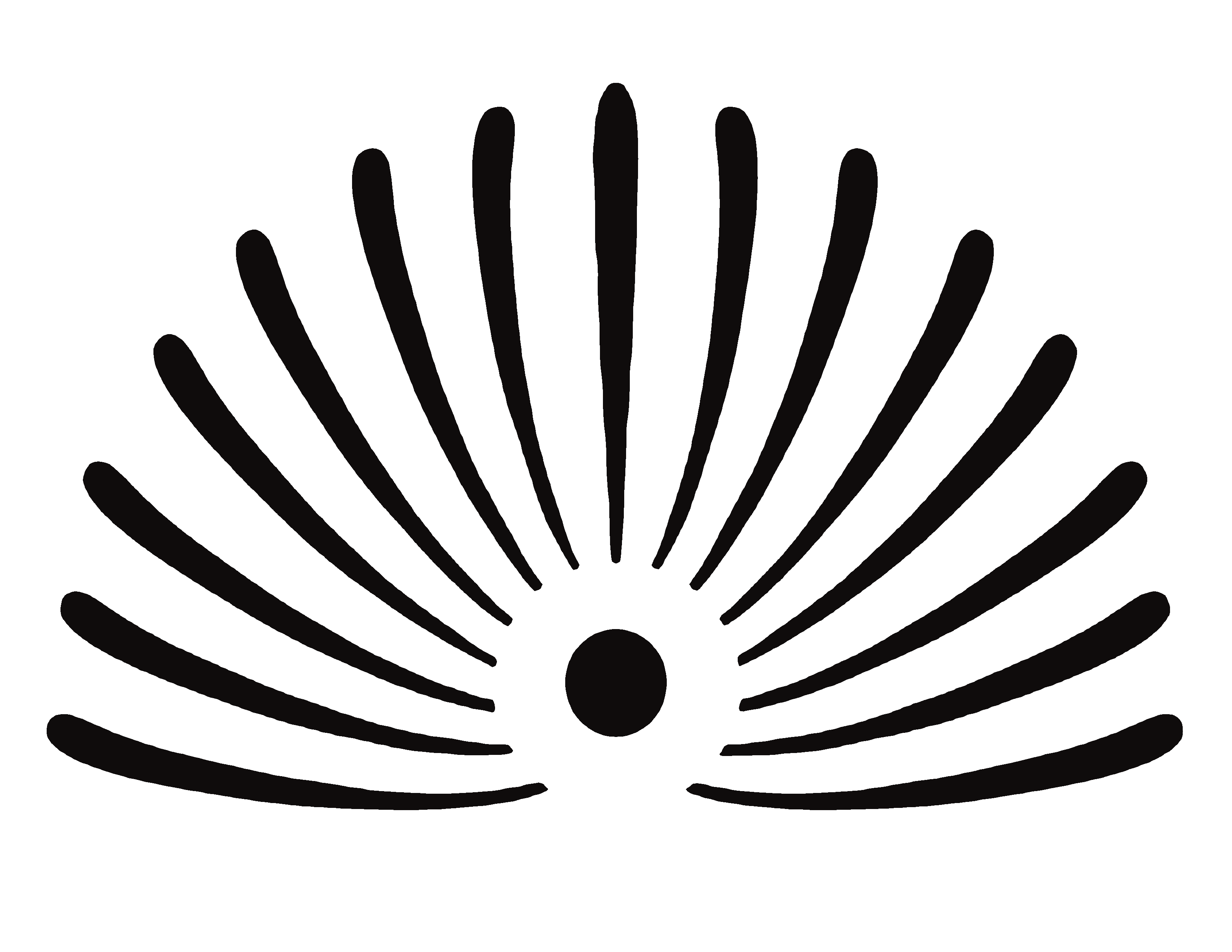 Bonsai Art & Clothes 