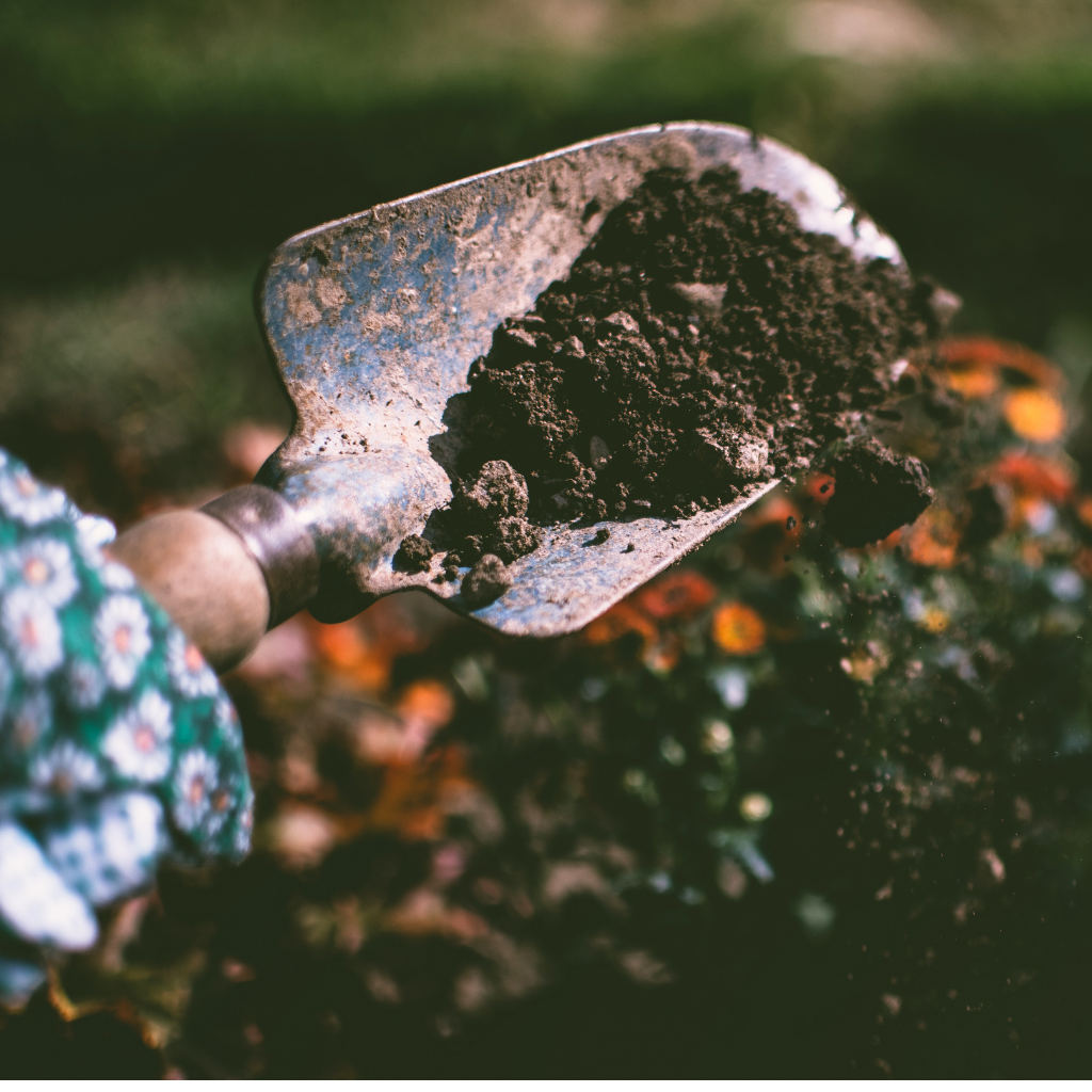 Sustratos, Fertilizantes, Mejoradores de suelo y Tierras&nbsp;<br>