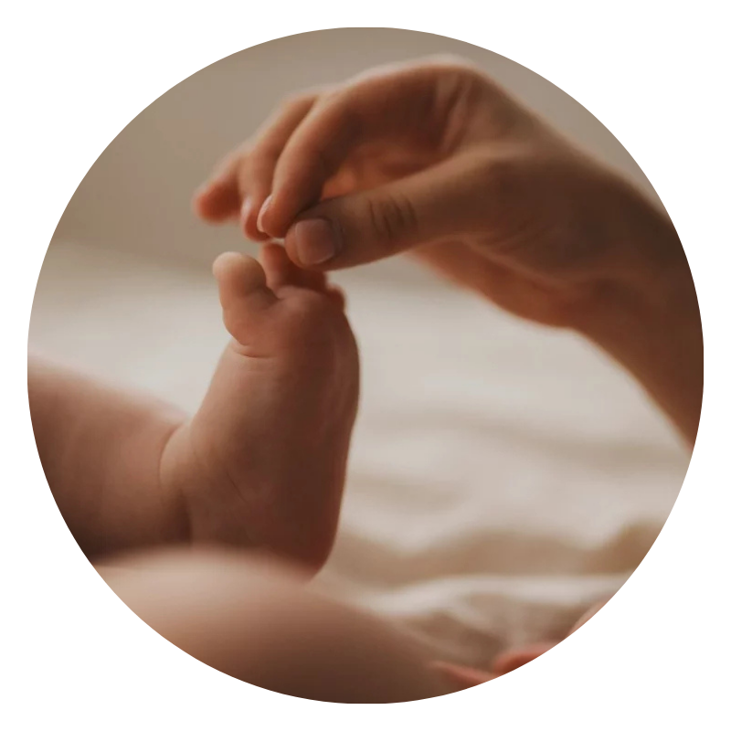 Bebes y niños