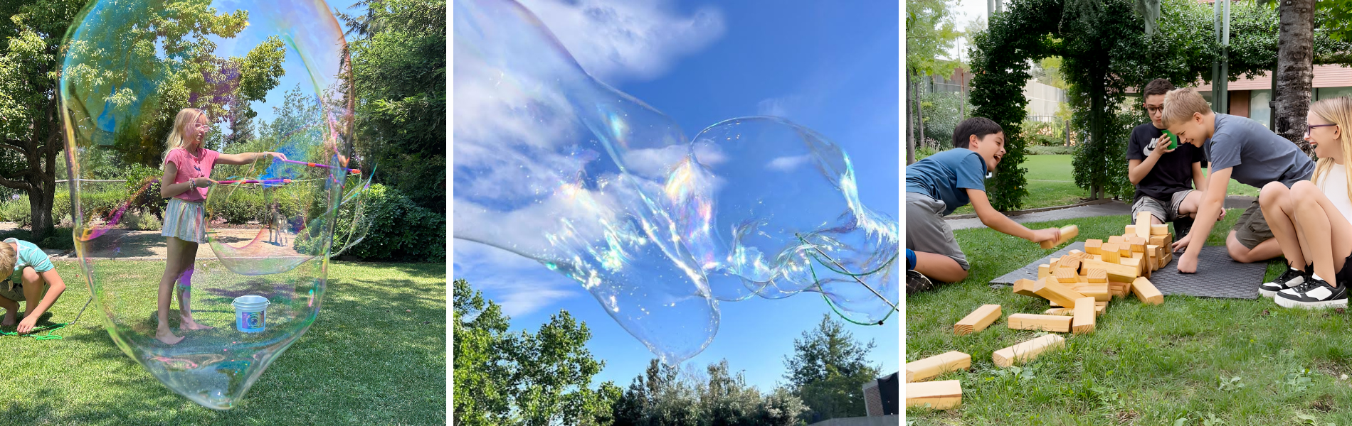 Título de la Sección