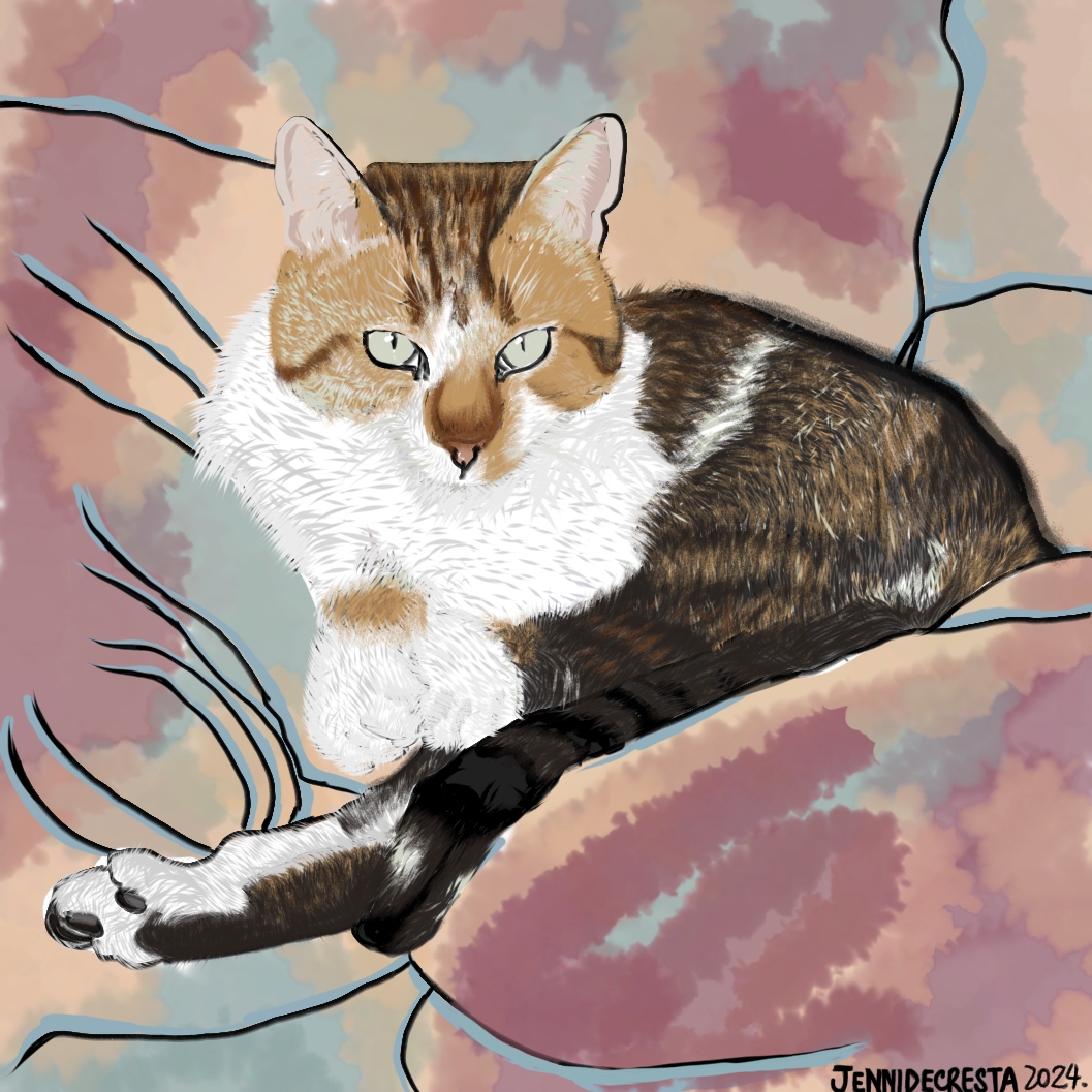 Butik jenni de cresta