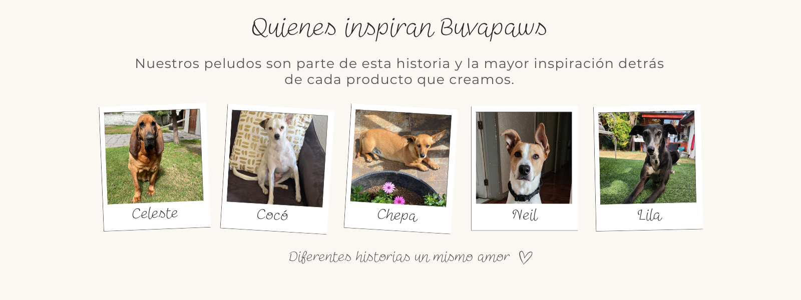 Título de la Sección