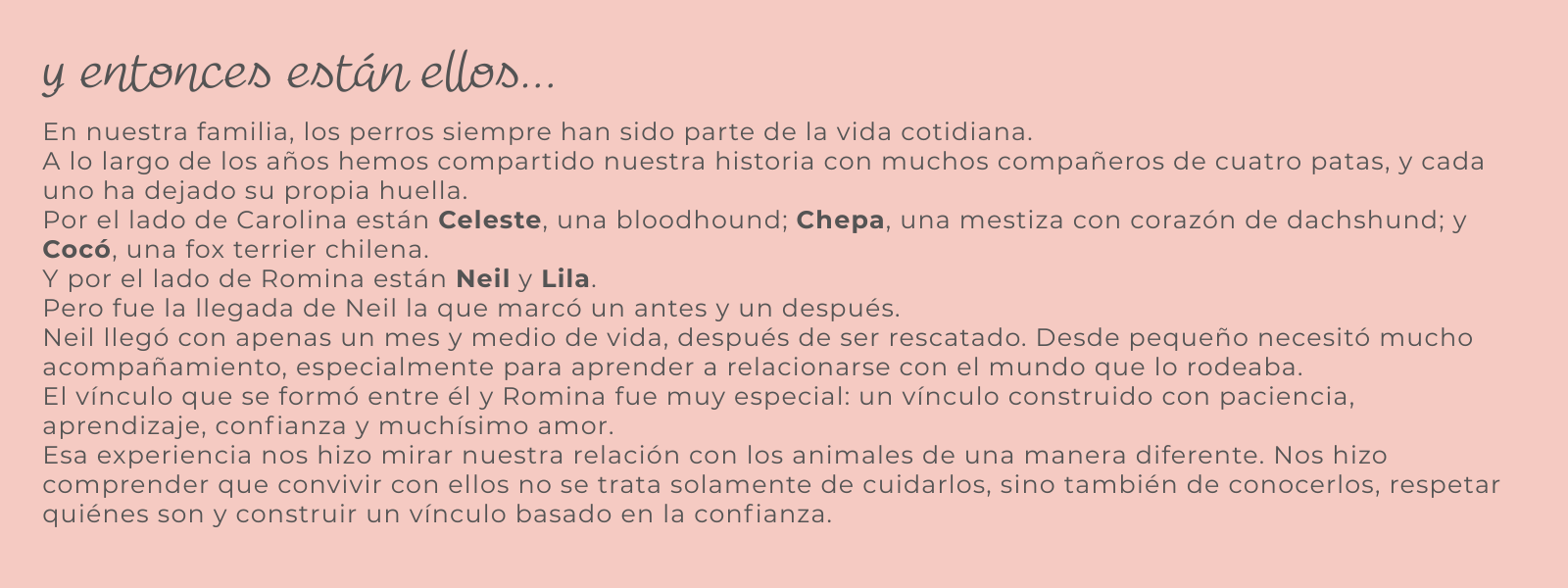 Título de la Sección