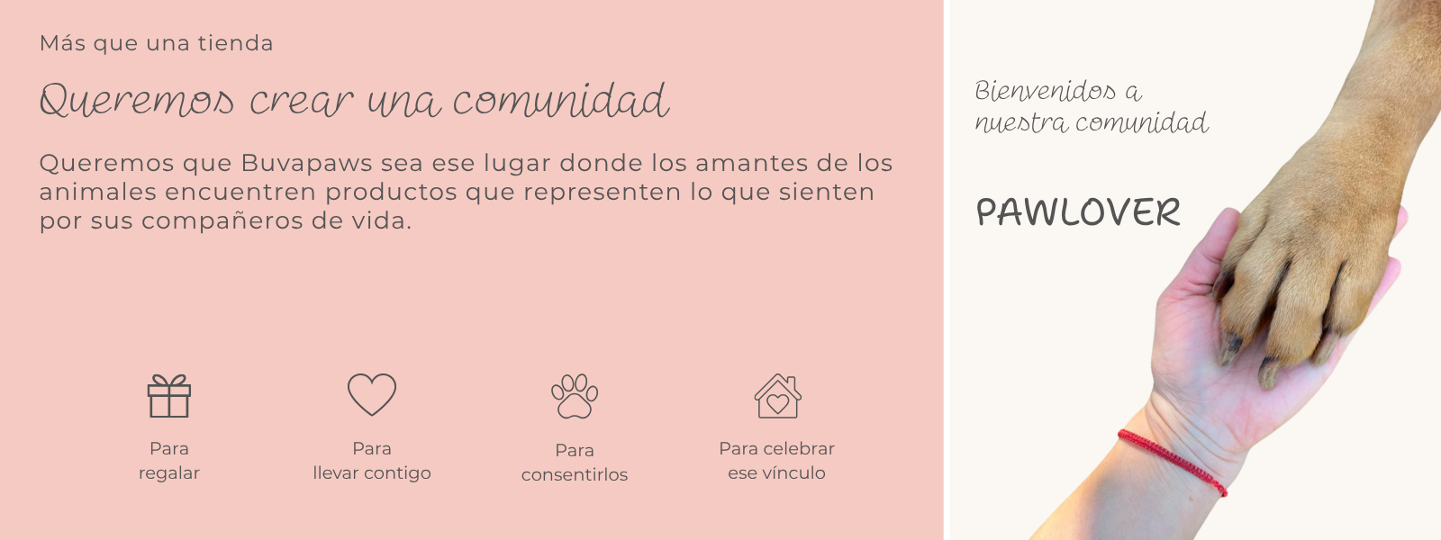 Título de la Sección